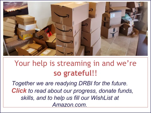 Our Amazon Wishlist