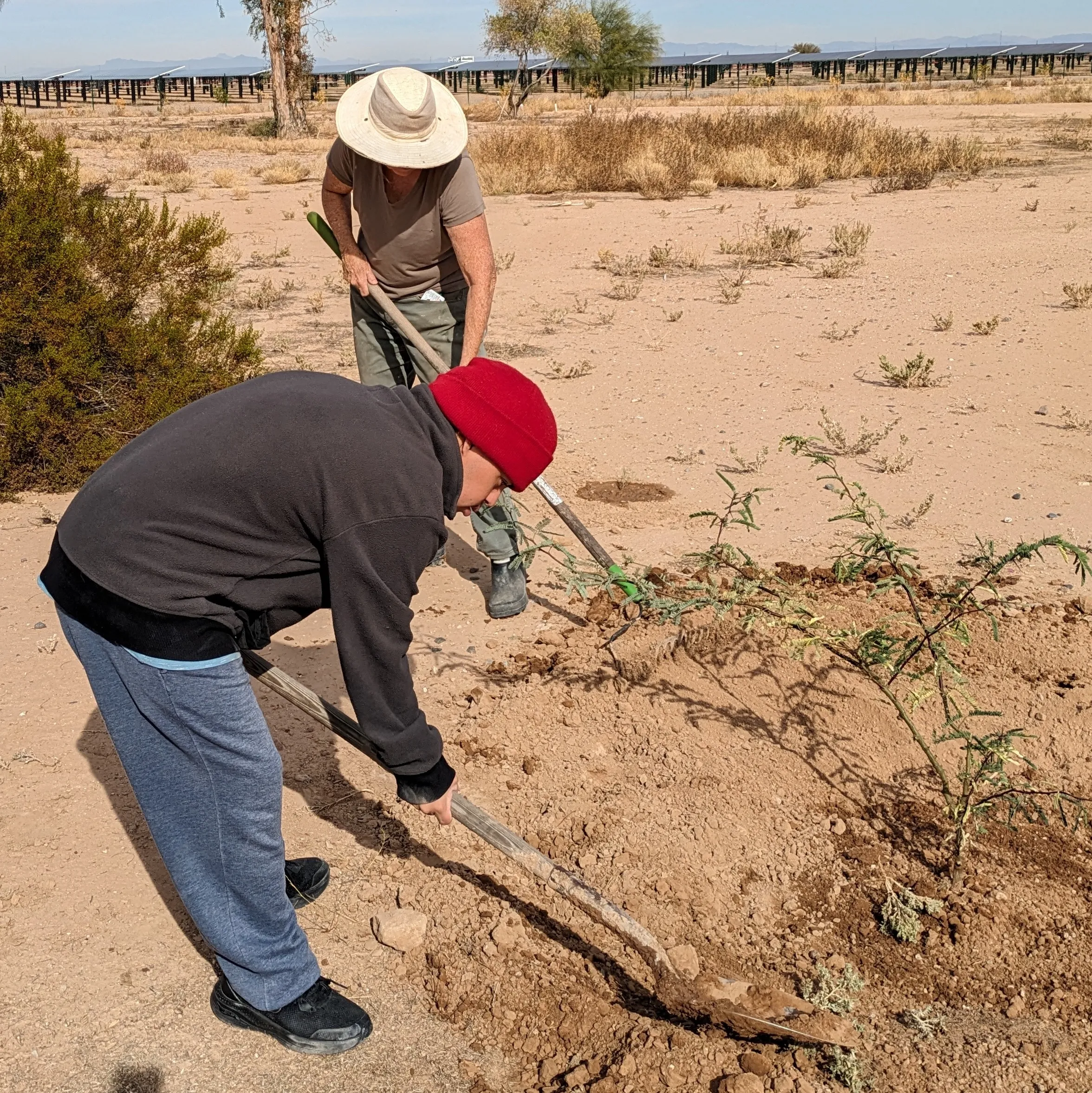 Making the Desert Bloom