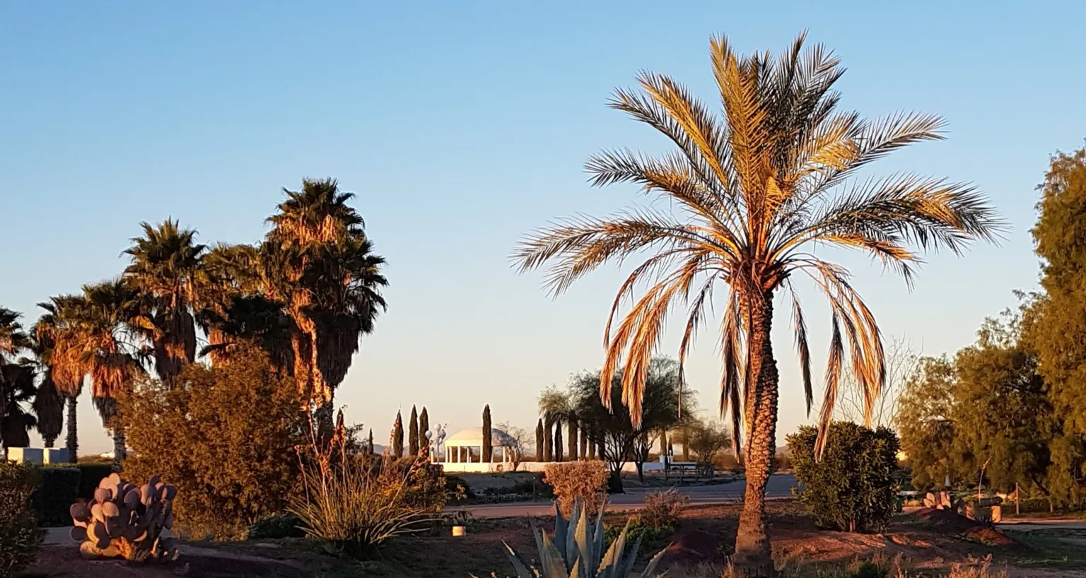 Desert Rose Bahá'í Institute