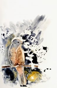 a lovely muted watercolour painting of a bird resting on a branch